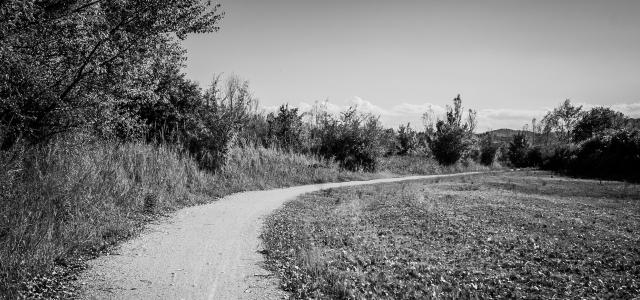 A trail